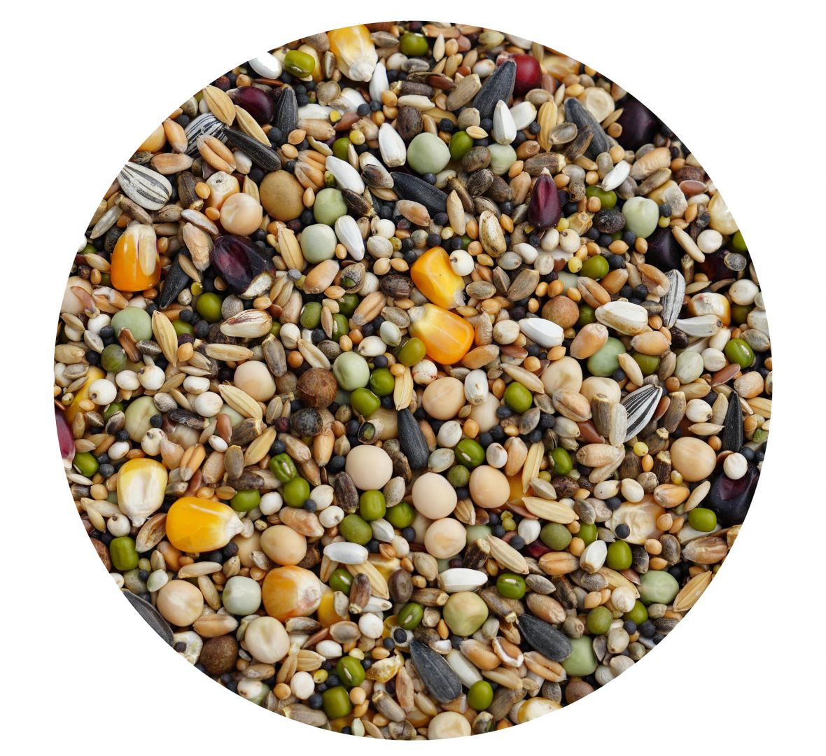 KARMA ULTRA PIERZENIOWA