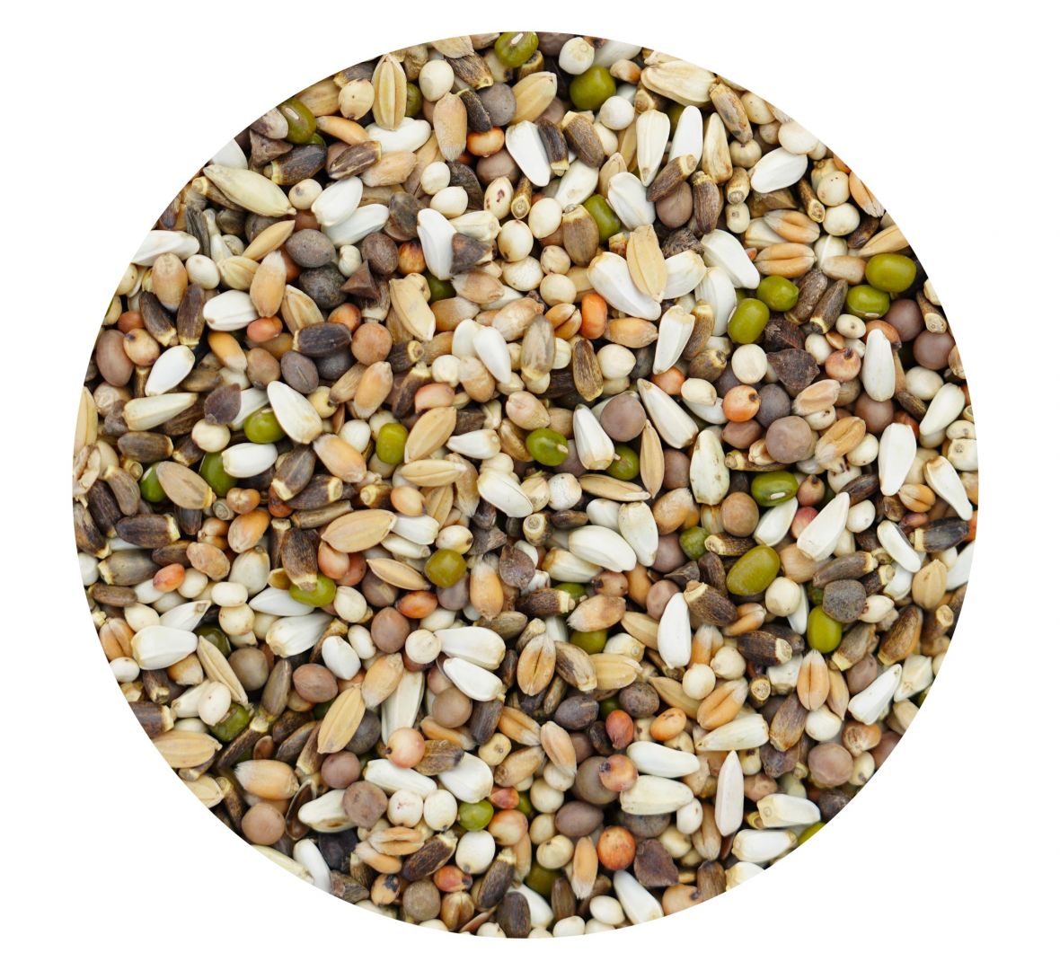 KARMA OPTIMA PROTEINOWA