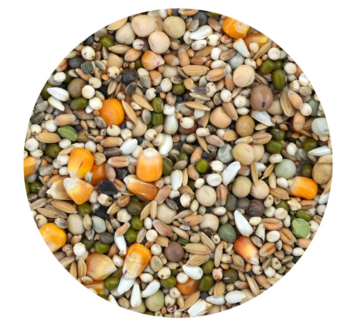 Ultra Rozpłodowo-Lotowa 