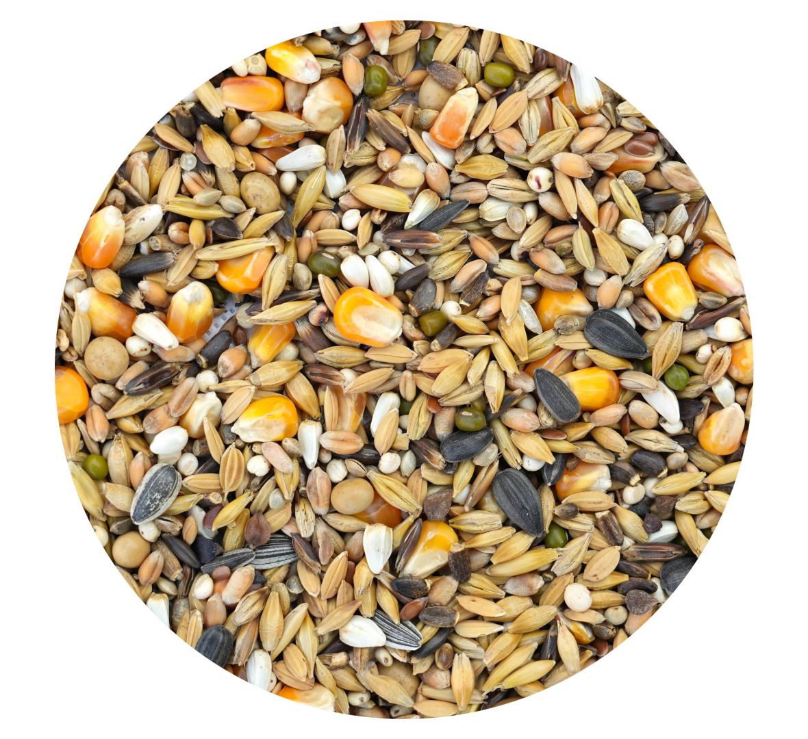 ULTRA SPOCZYNKOWA (ZIMOWA)