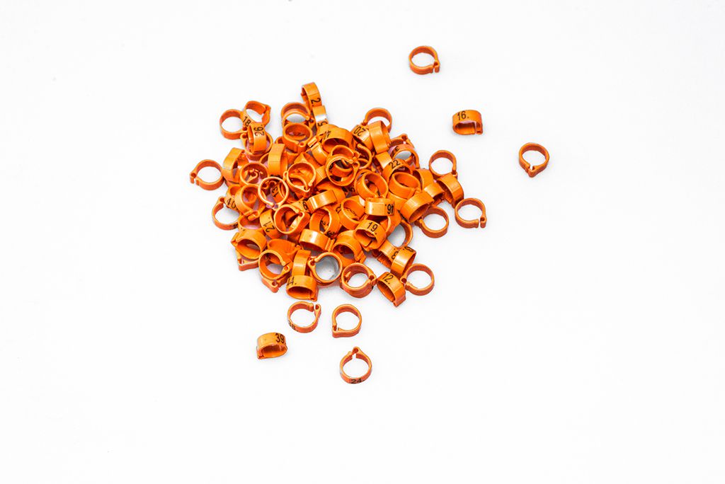 PREMIUM NUMBERED RINGS ø8x5mm 1-50, 1-100, 1-25